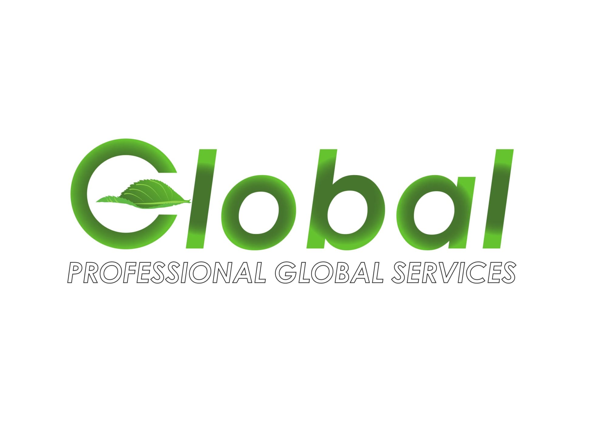 Professional Global services s.r.l.s.